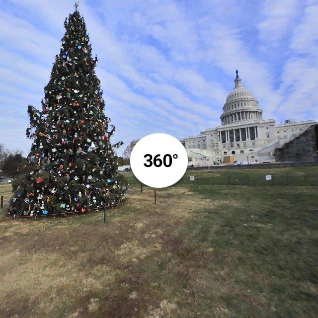 The Capitol Christmas Tree