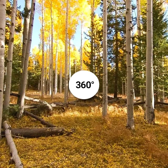 Aspen Corner, Flagstaff, AZ