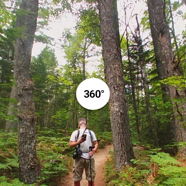 Hemlocks & Hardwoods hiking trail in Nova Scotia's Kejimk...