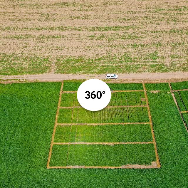 Dji 0383-hdr