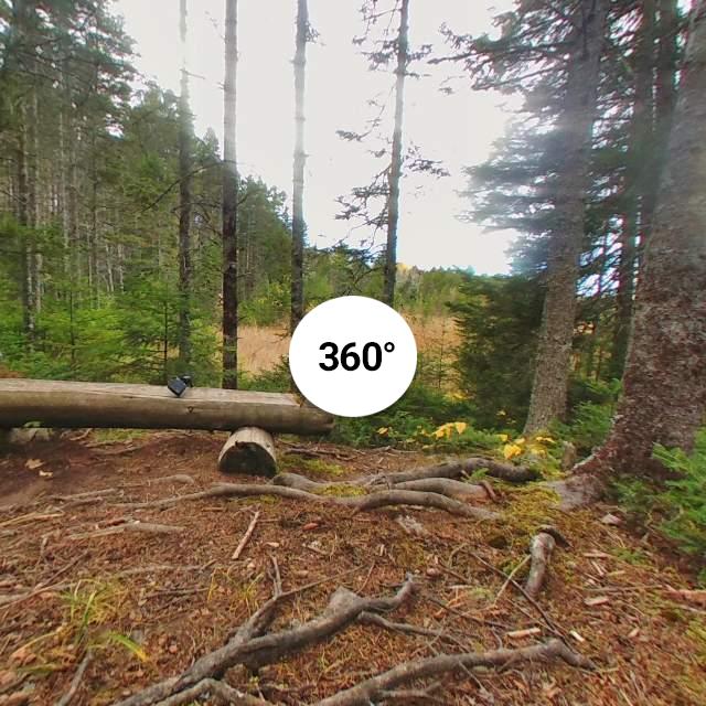 Nine Mile River hiking trails, Nova Scotia. Map & guide http...