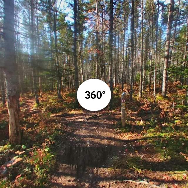 Nine Mile River Hiking Trail in East Hants, Nova Scotia. For...