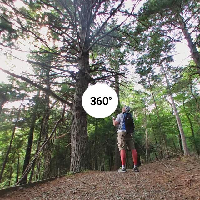 Grafton Woods hiking trail in Kejimkujik National Park. Map