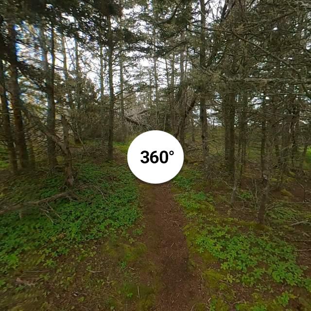 Clam Harbour Beach Provincial Park Nova Scotia. Map & Guide...