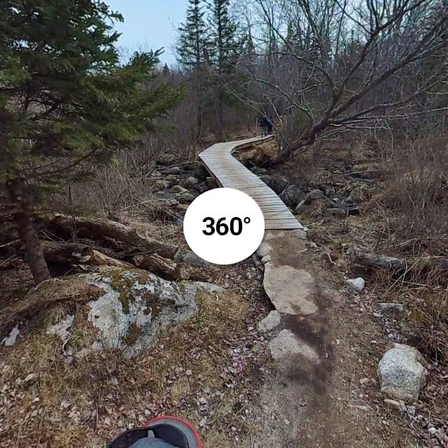 McIntosh Run Singletrack Trail System in Halifax, Nova Scotia....