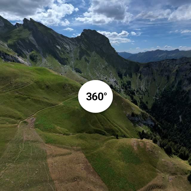 Alpage de l'Aulp de Fier d'en Bas