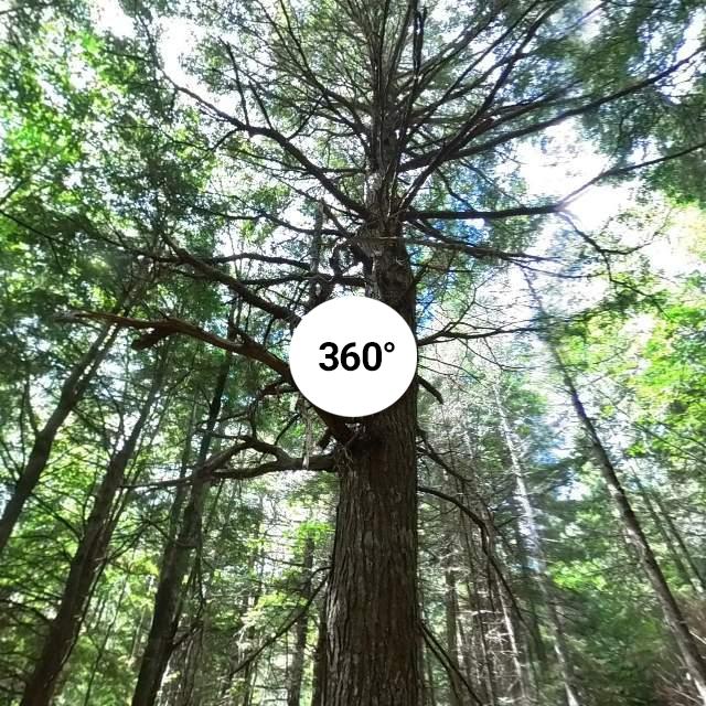 ber Lake Falls in Halifax, Nova Scotia. Map & guide www.ha...